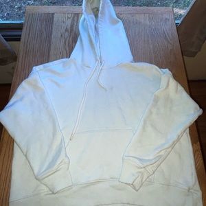 Sage green aerie hoodie